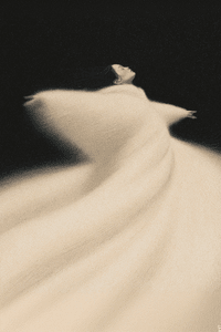 notion image