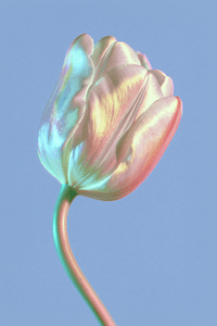 notion image