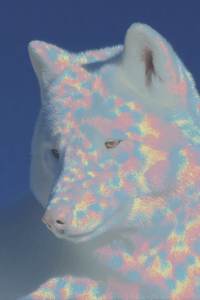 notion image