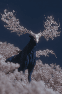 notion image