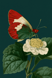 notion image